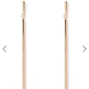 NWT Lane linear dangle earrings